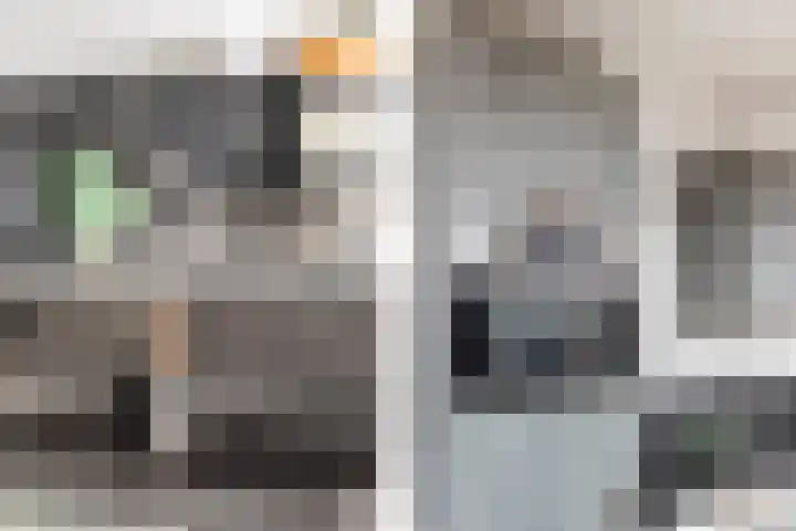 Ganzepad 9 Werkendam thumbnail 9