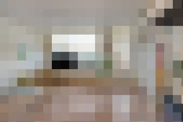 Ganzepeppel 2 's-Heerenberg thumbnail 9