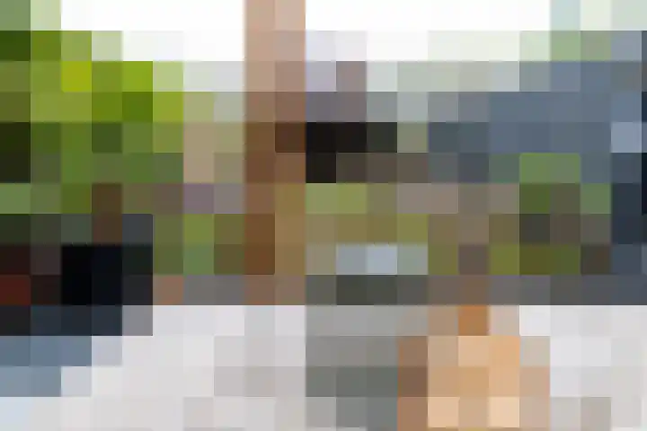 Ganzepeppel 67 's-Heerenberg thumbnail 36