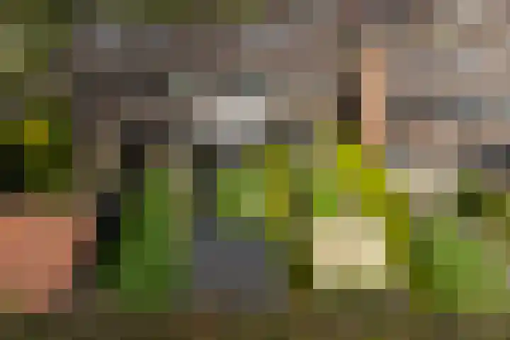 Ganzepeppel 67 's-Heerenberg thumbnail 39