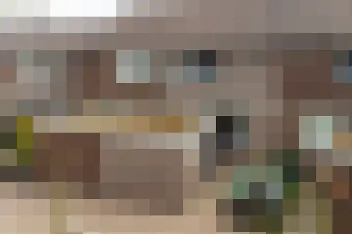Ganzepeppel 67 's-Heerenberg thumbnail 4