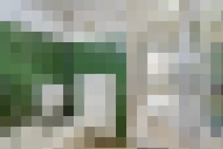 Ganzepeppel 86 's-Heerenberg thumbnail 15