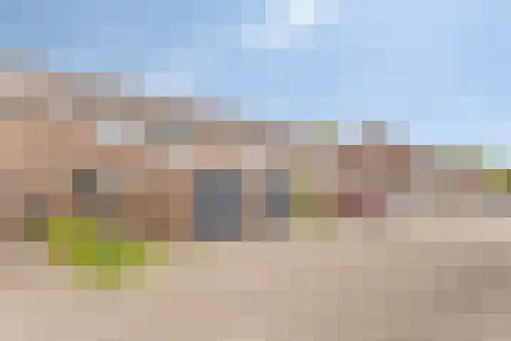 Ganzepeppel 86 's-Heerenberg thumbnail 26
