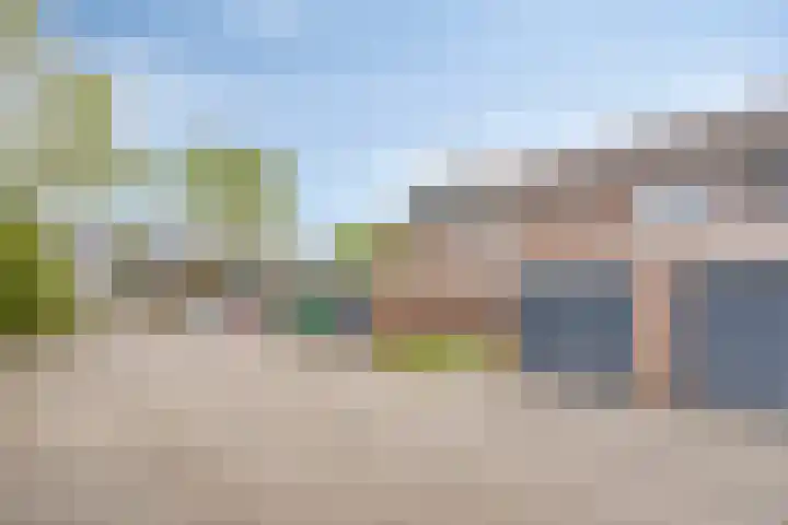 Ganzepeppel 86 's-Heerenberg thumbnail 27