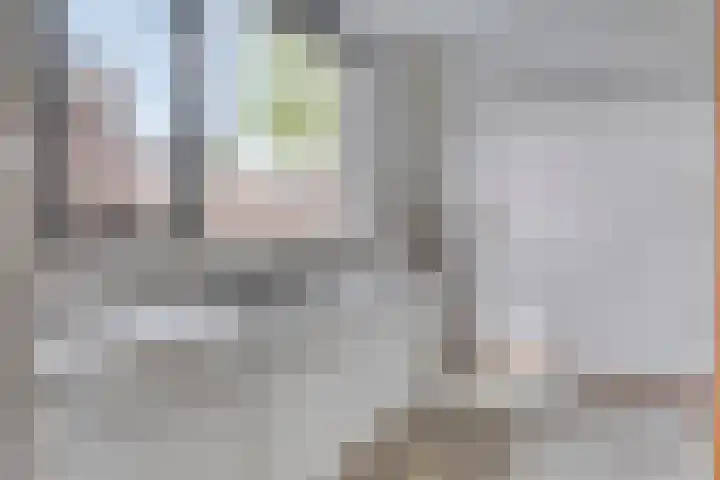 Ganzepeppel 86 's-Heerenberg thumbnail 8