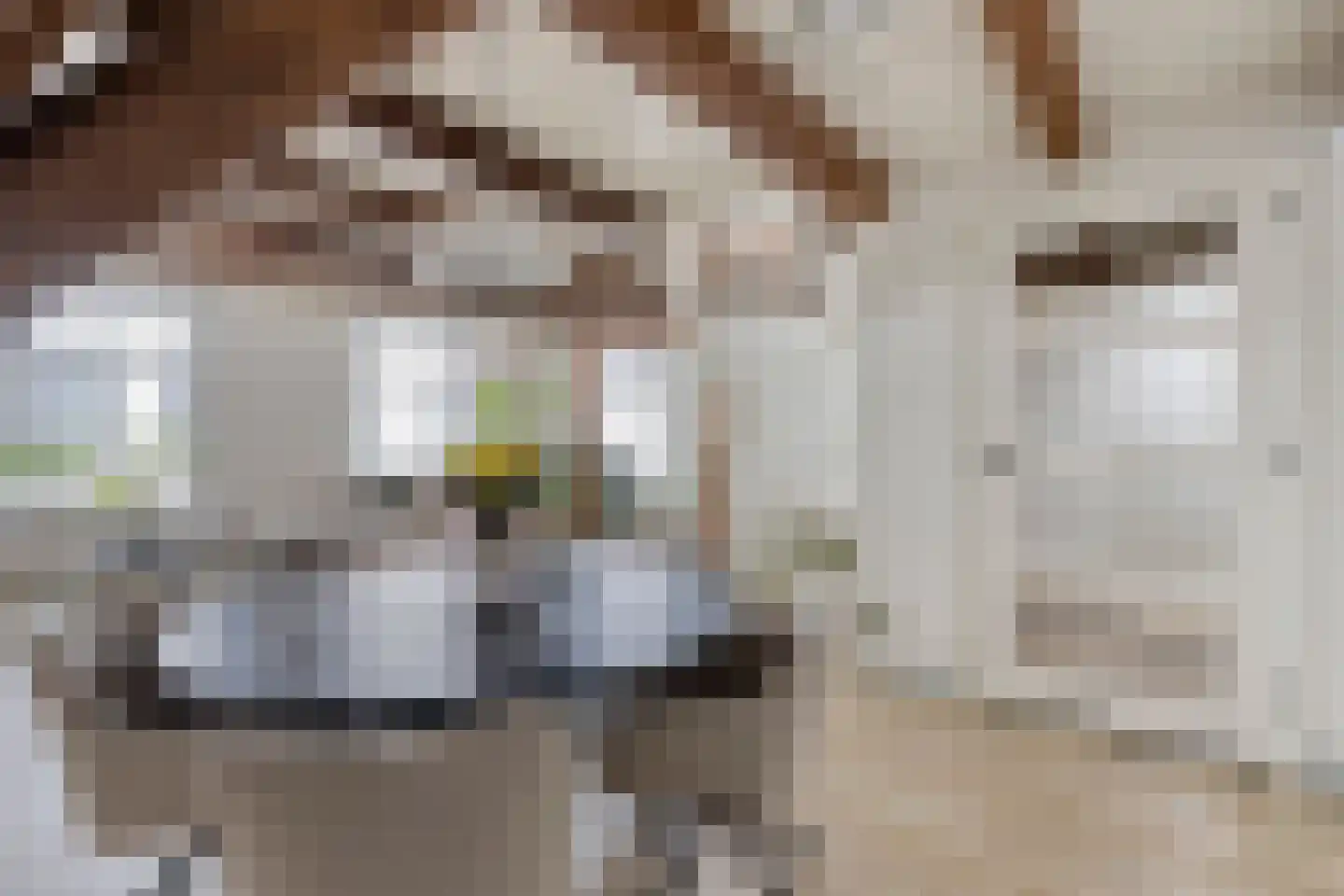 Ganzepoortstraat 9 A Goes thumbnail 15