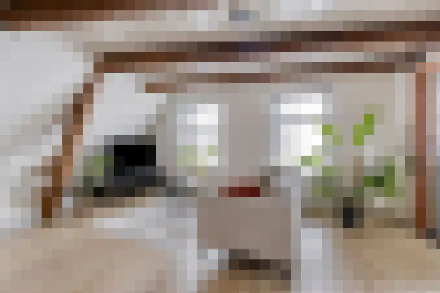 Ganzepoortstraat 9 A Goes thumbnail 16