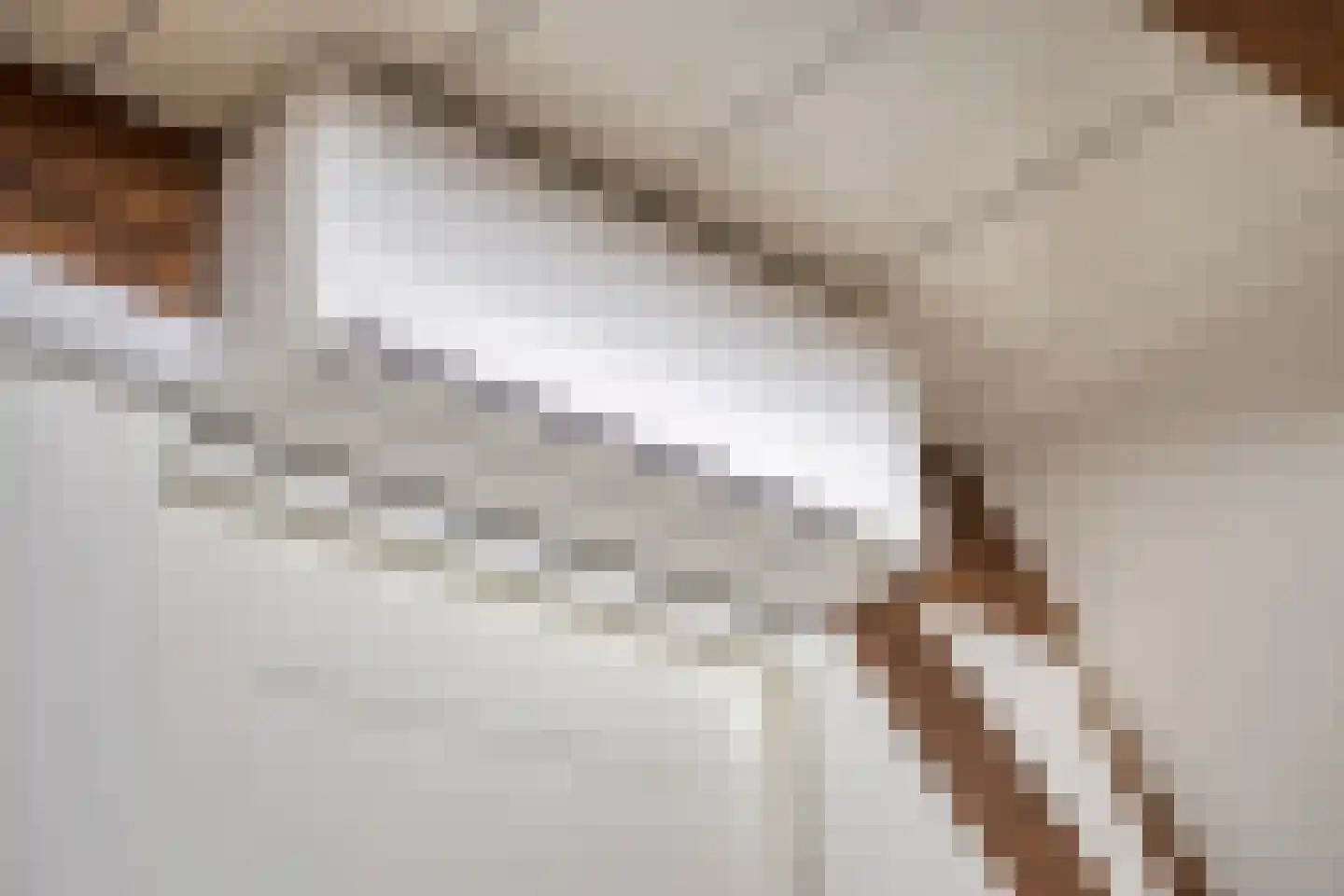 Ganzepoortstraat 9 A Goes thumbnail 22