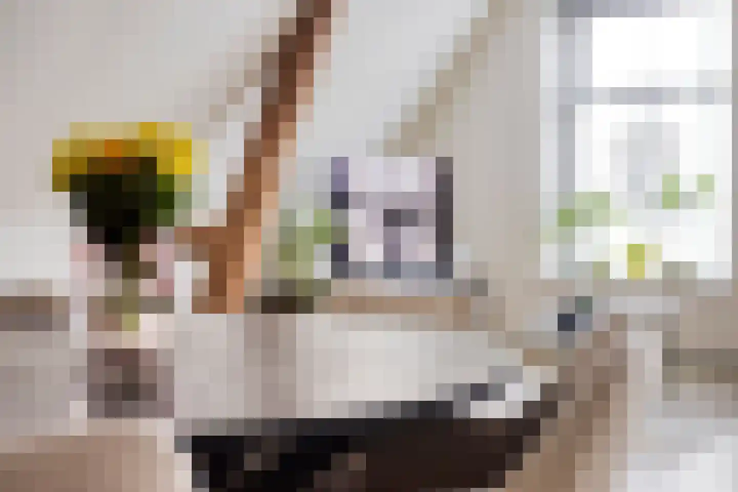 Ganzepoortstraat 9 A Goes thumbnail 23