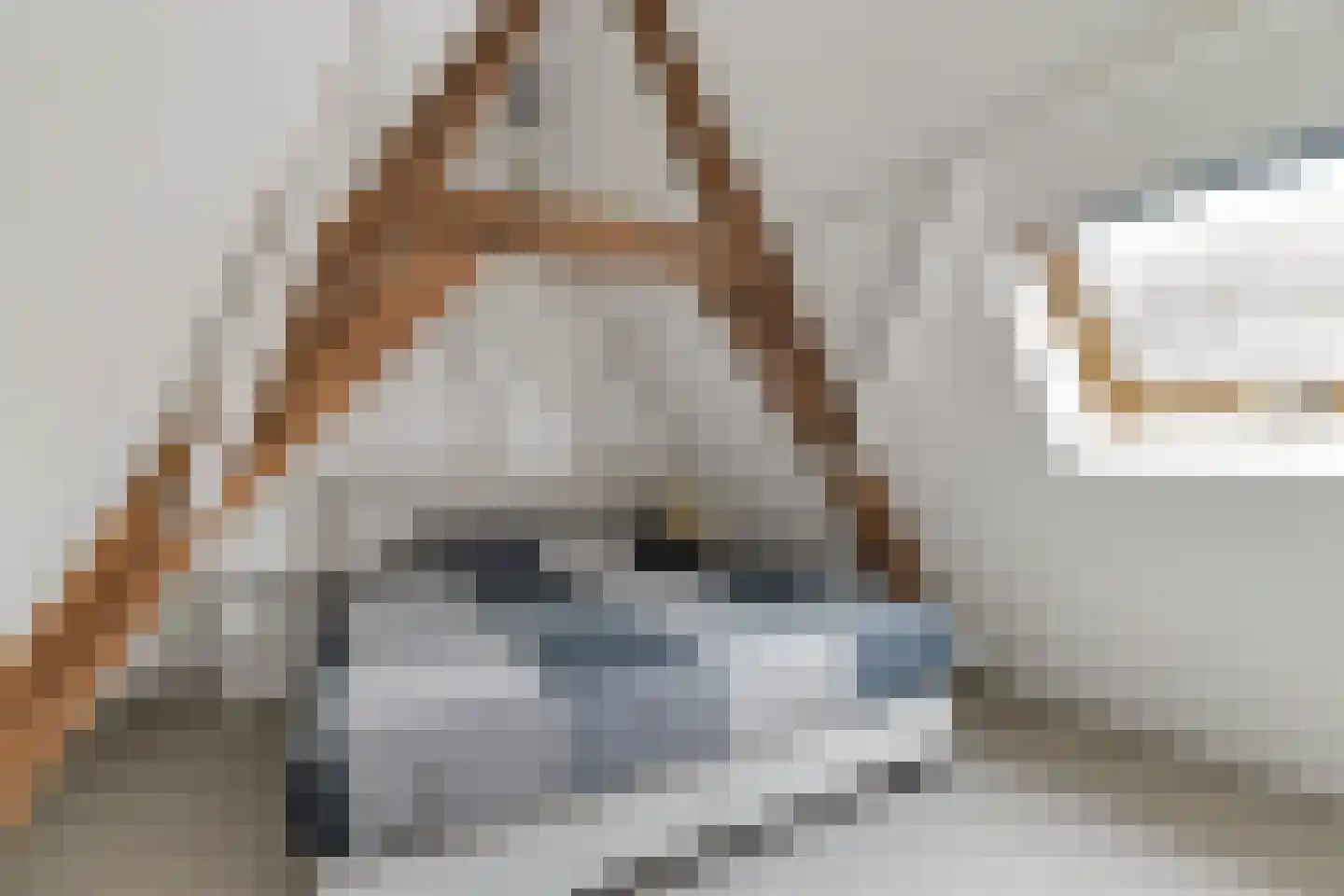Ganzepoortstraat 9 A Goes thumbnail 36