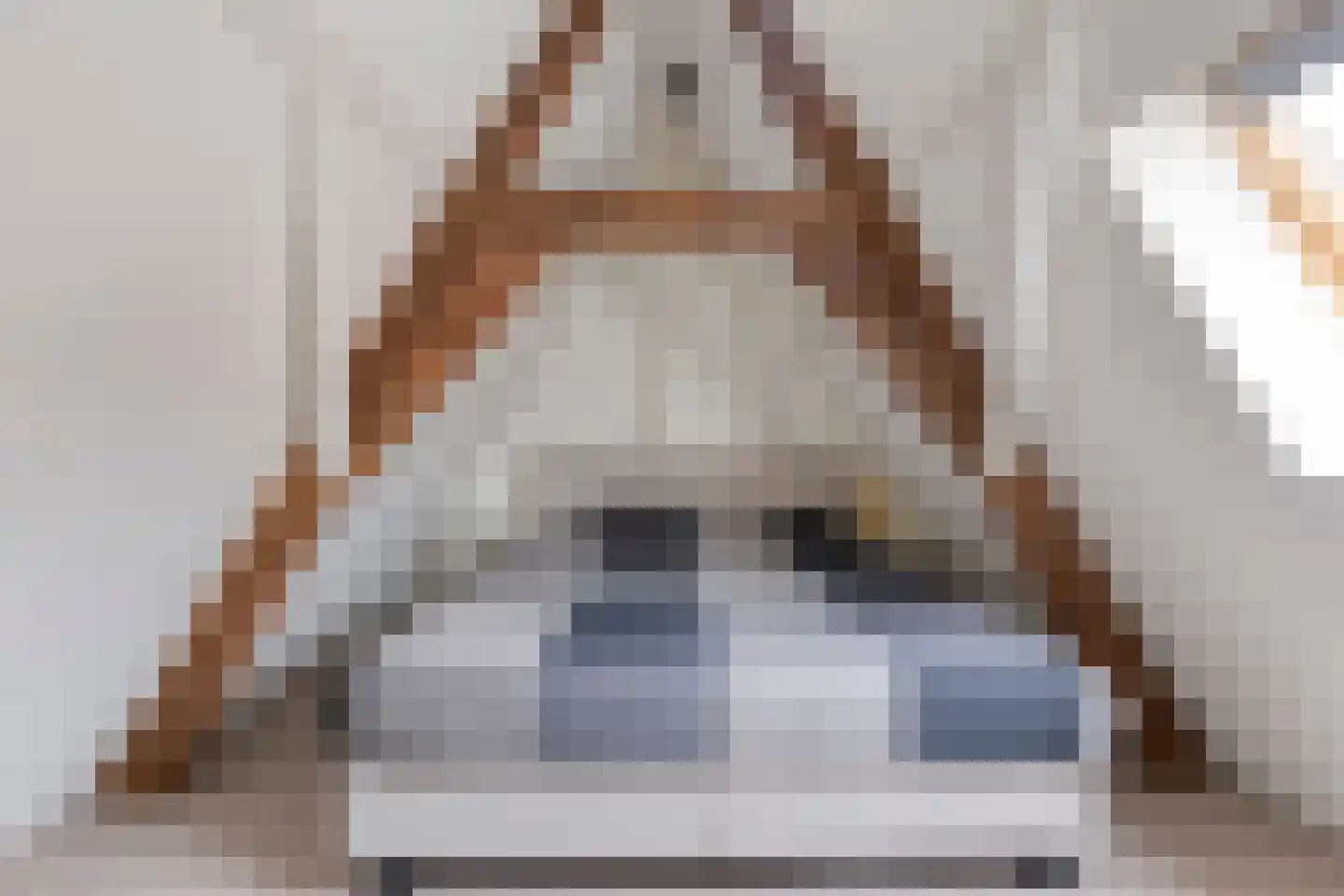 Ganzepoortstraat 9 A Goes thumbnail 37