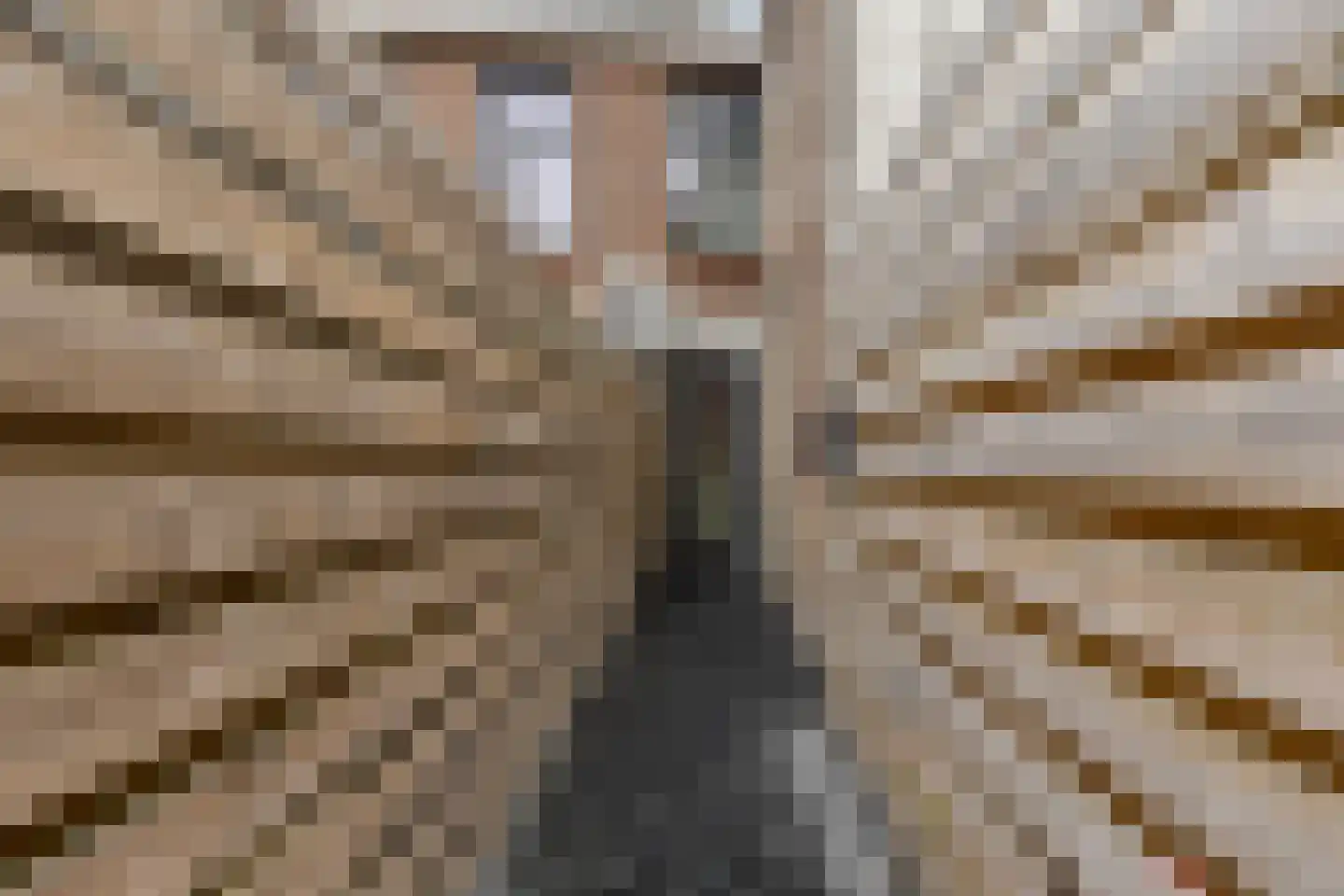 Ganzepoortstraat 9 A Goes thumbnail 43