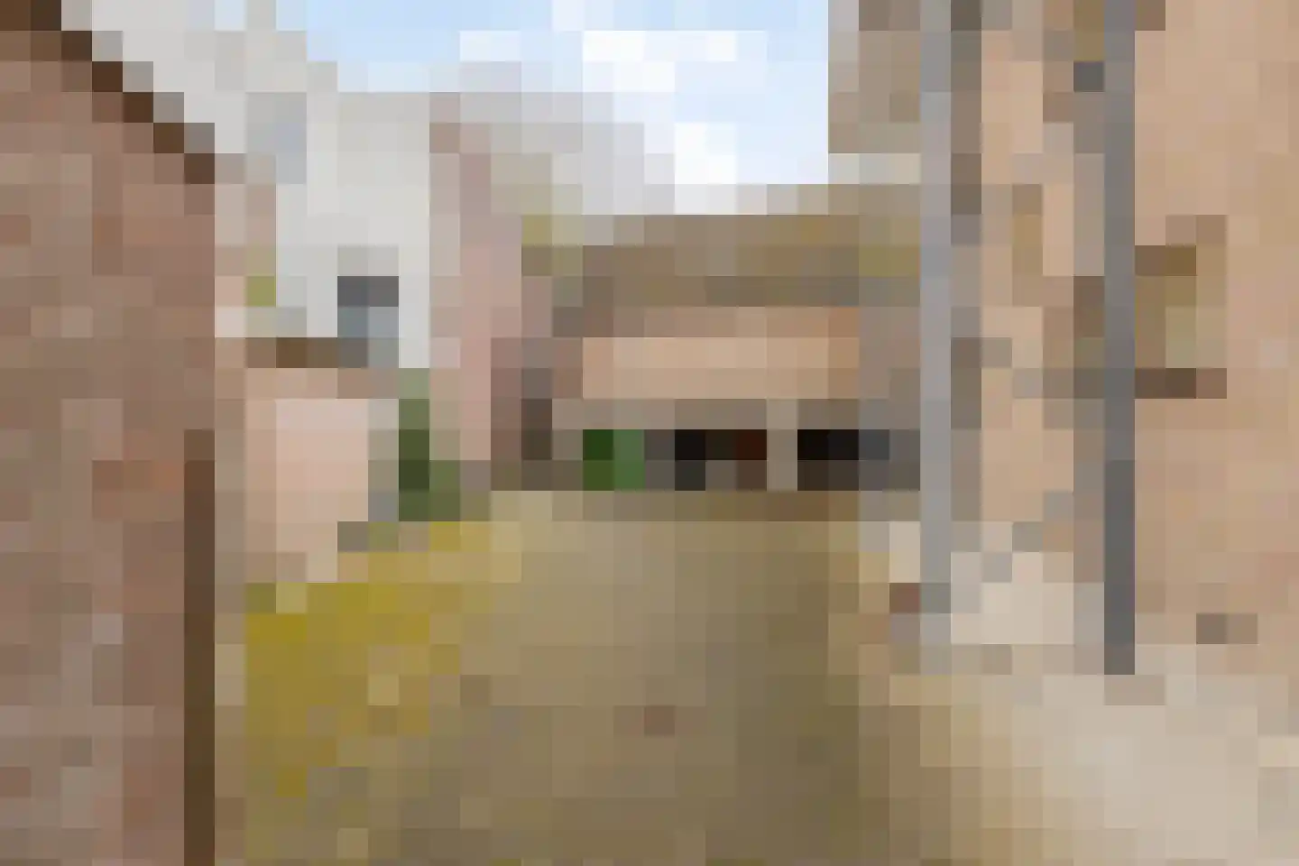 Ganzepoortstraat 9 A Goes thumbnail 44