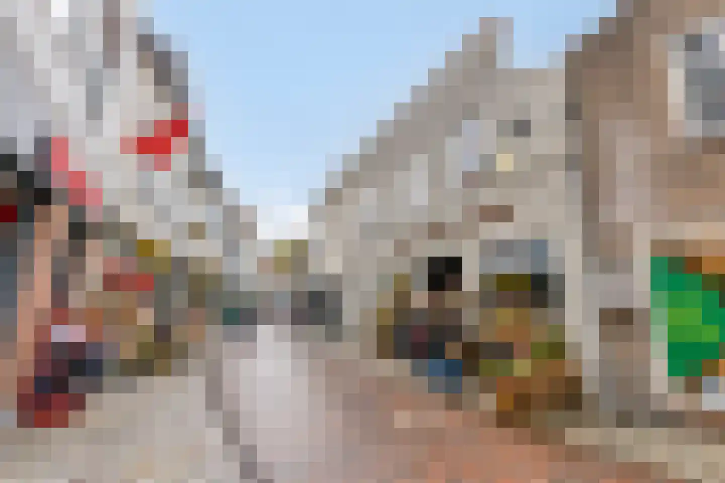 Ganzepoortstraat 9 A Goes thumbnail 45