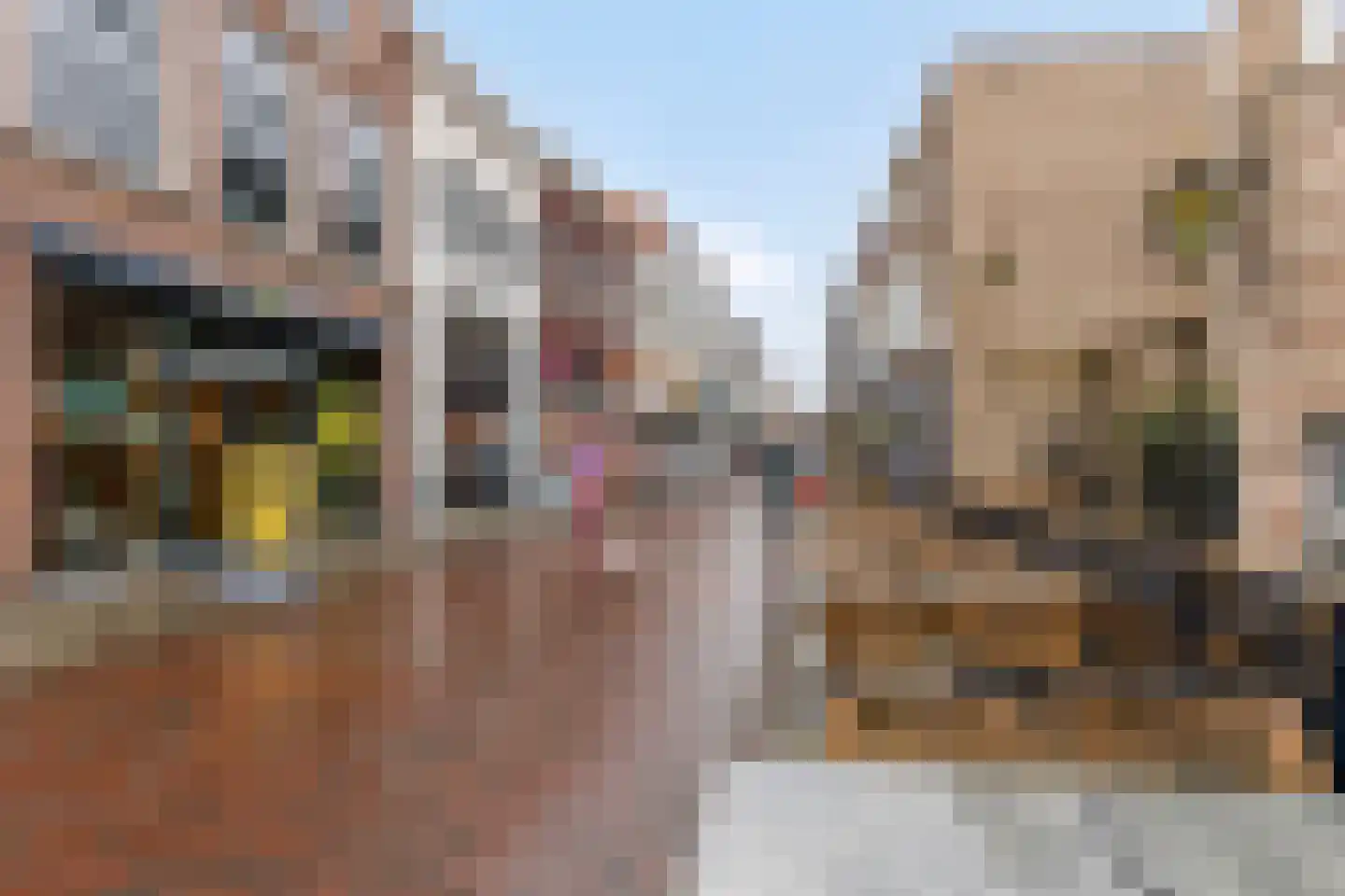 Ganzepoortstraat 9 A Goes thumbnail 46