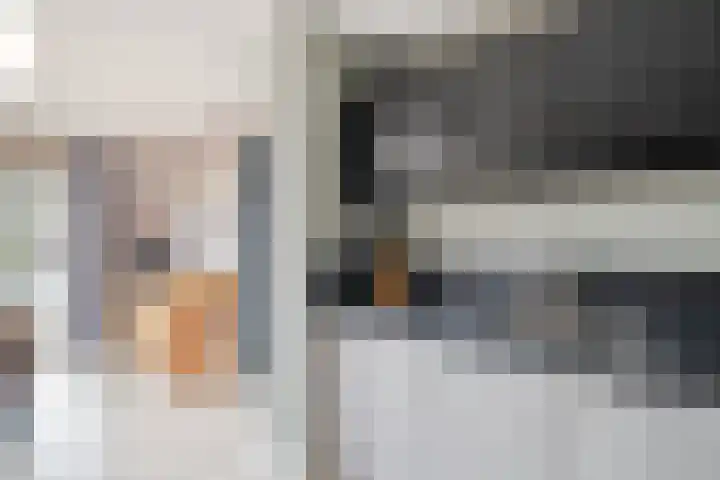 Ganzerik 11 Swifterbant thumbnail 15