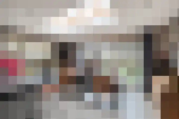 Ganzerik 11 Swifterbant thumbnail 16
