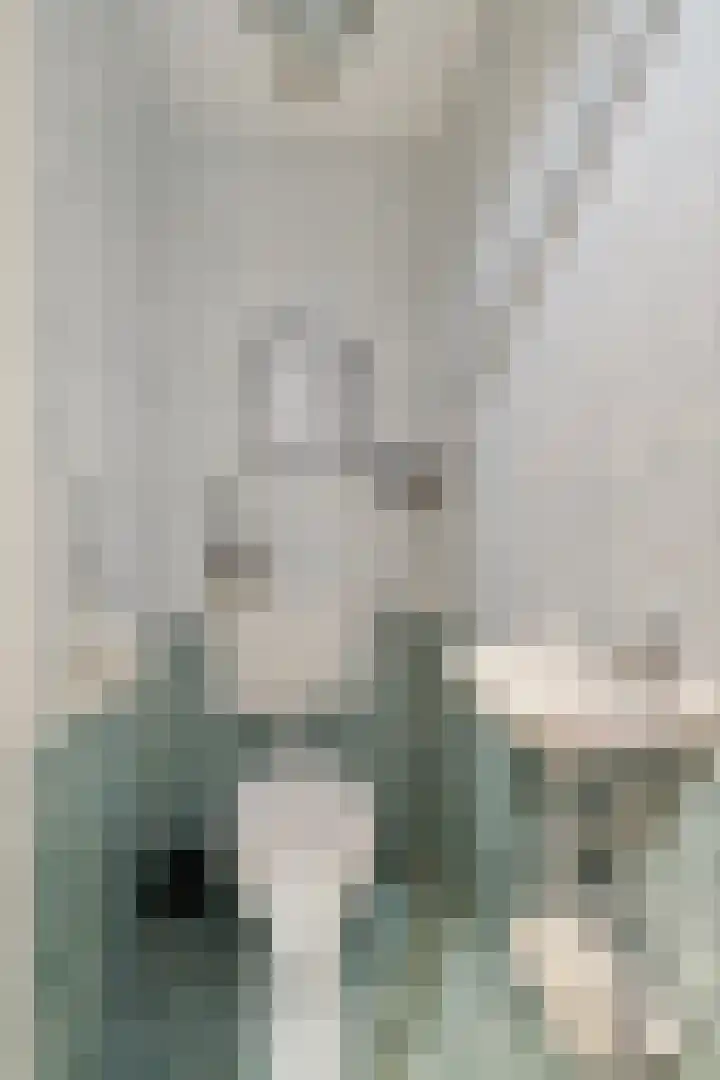 Ganzerik 11 Swifterbant thumbnail 19