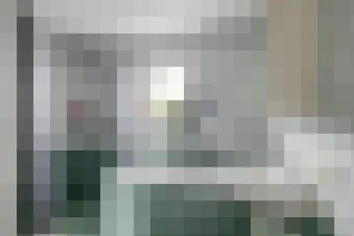 Ganzerik 11 Swifterbant thumbnail 24