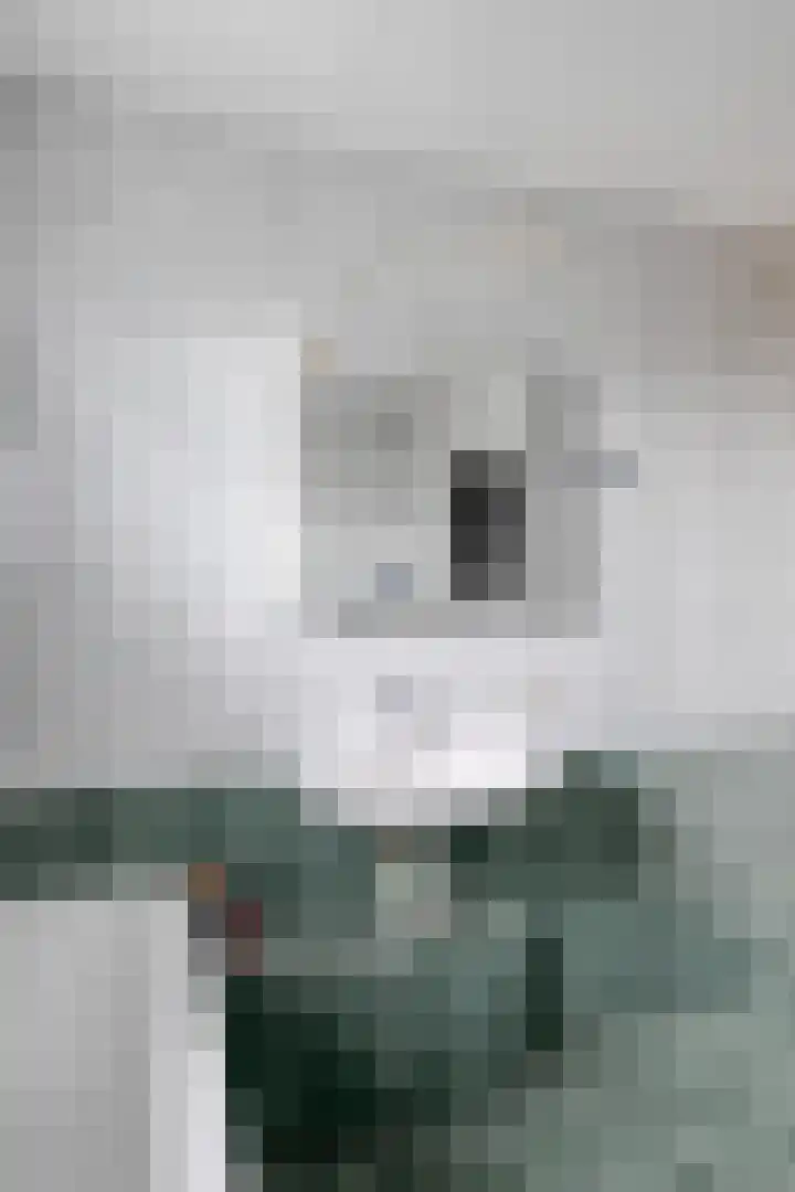 Ganzerik 11 Swifterbant thumbnail 25