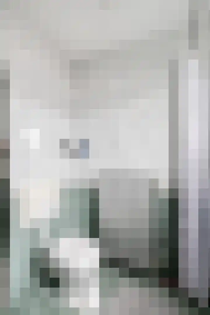 Ganzerik 11 Swifterbant thumbnail 30