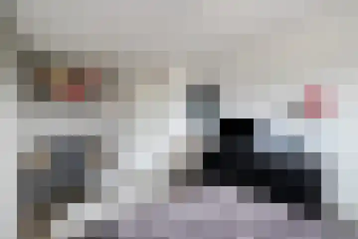 Ganzerik 11 Swifterbant thumbnail 34
