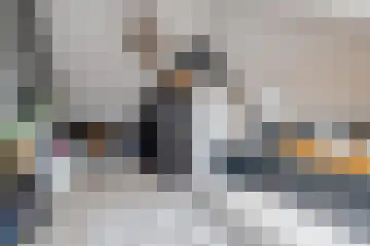 Ganzerik 11 Swifterbant thumbnail 36