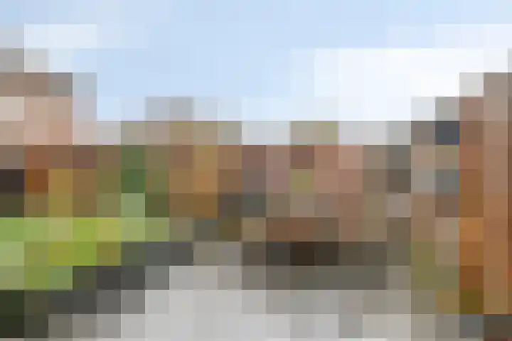 Ganzerik 11 Swifterbant thumbnail 41