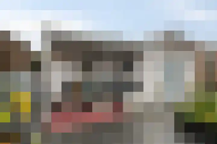 Ganzerik 11 Swifterbant thumbnail 42