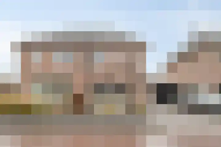 Ganzerik 11 Swifterbant thumbnail 45