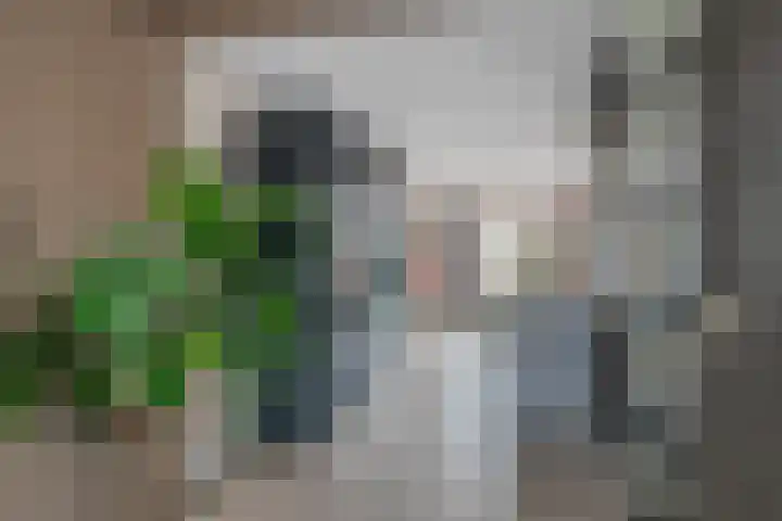 Ganzerik 11 Swifterbant thumbnail 7