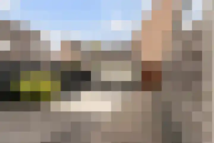 Ganzerik 13 Bennekom thumbnail 15