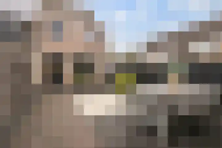 Ganzerik 13 Bennekom thumbnail 17