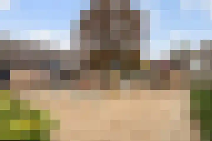Ganzerik 13 Bennekom thumbnail 35