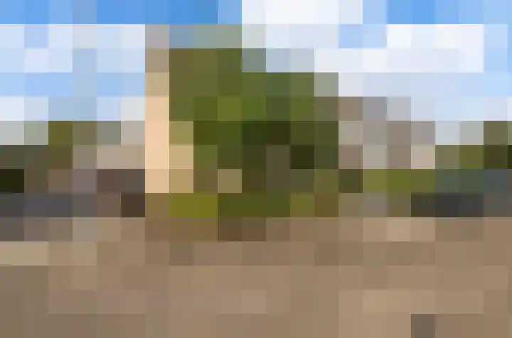Ganzerik 13 Bennekom thumbnail 5