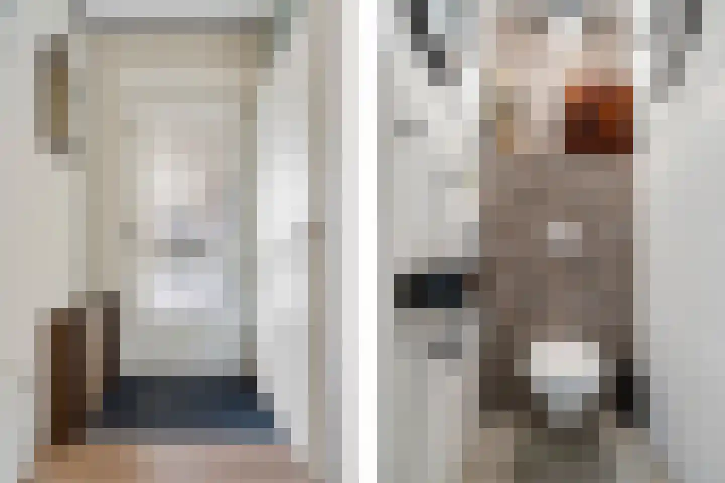 Ganzerik 13 Swifterbant thumbnail 10