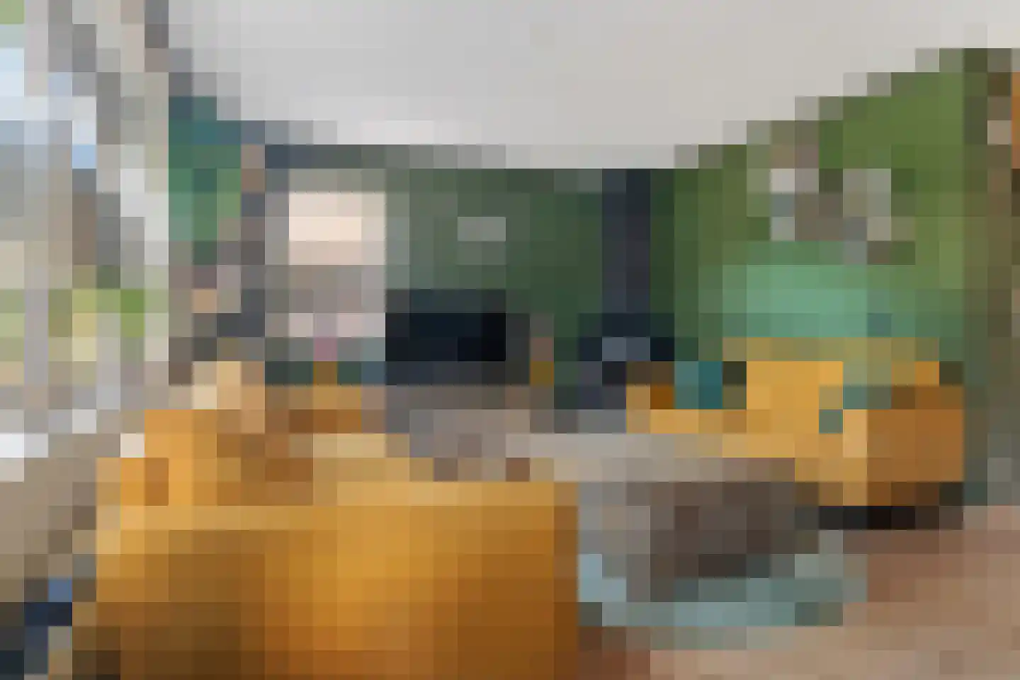 Ganzerik 13 Swifterbant thumbnail 15