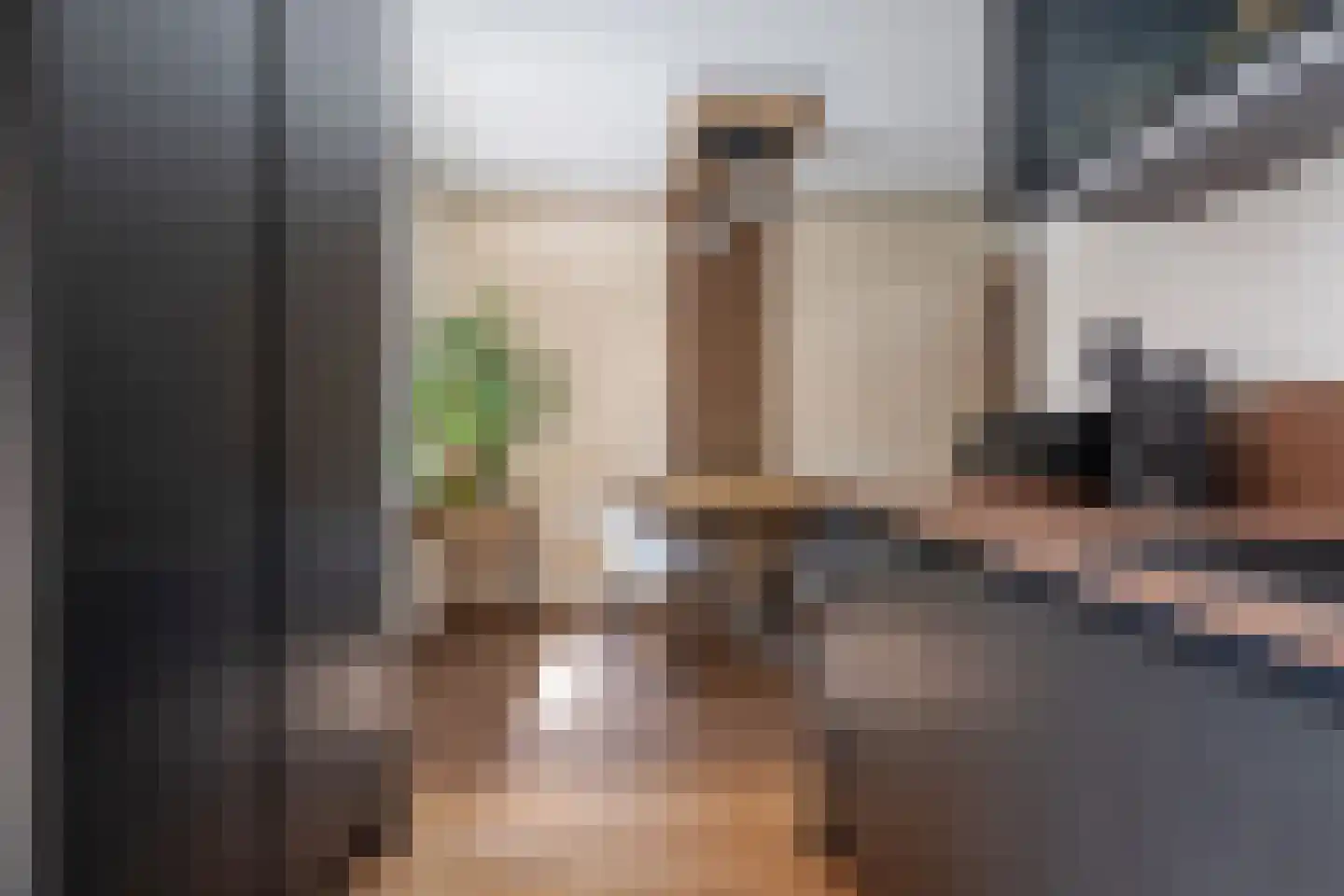 Ganzerik 13 Swifterbant thumbnail 24