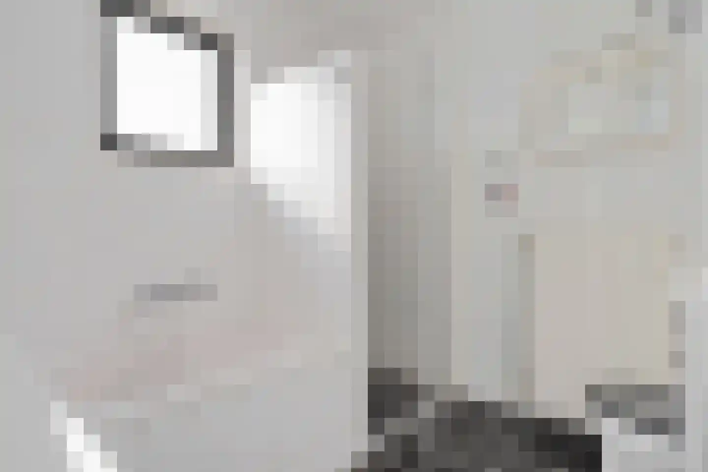 Ganzerik 13 Swifterbant thumbnail 33