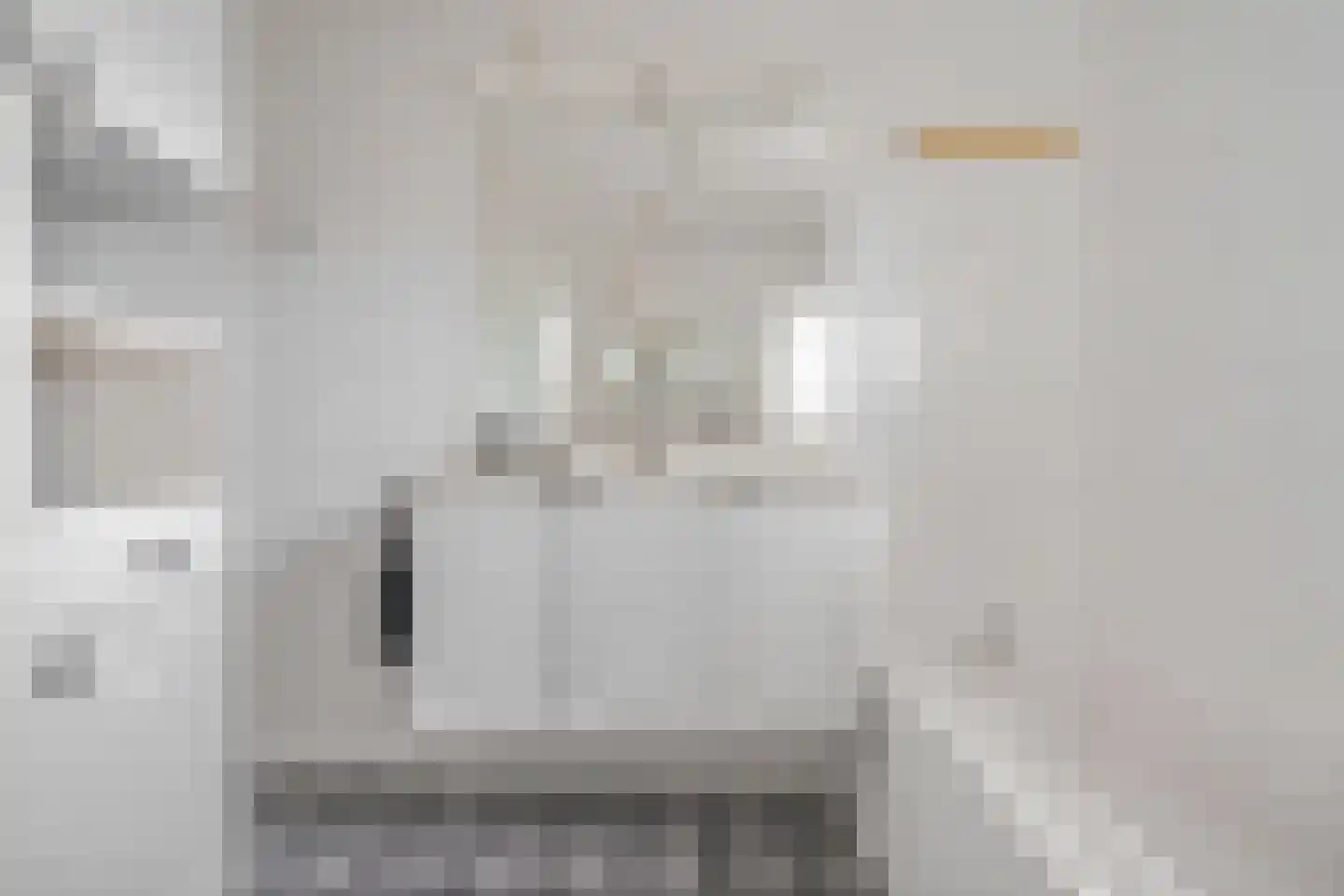 Ganzerik 13 Swifterbant thumbnail 34