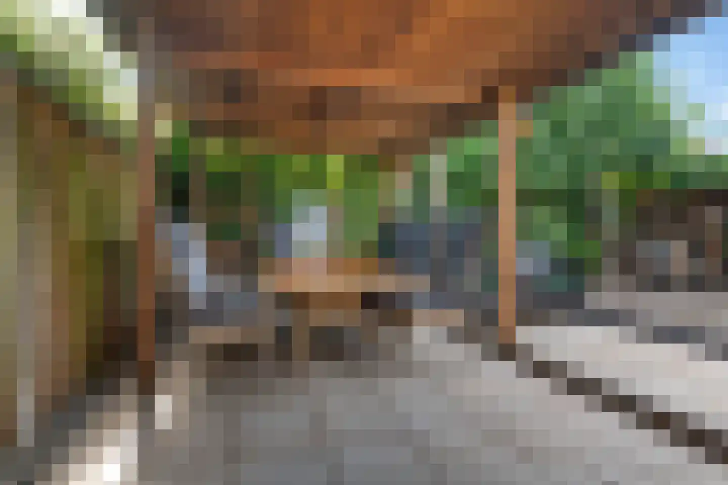 Ganzerik 13 Swifterbant thumbnail 40