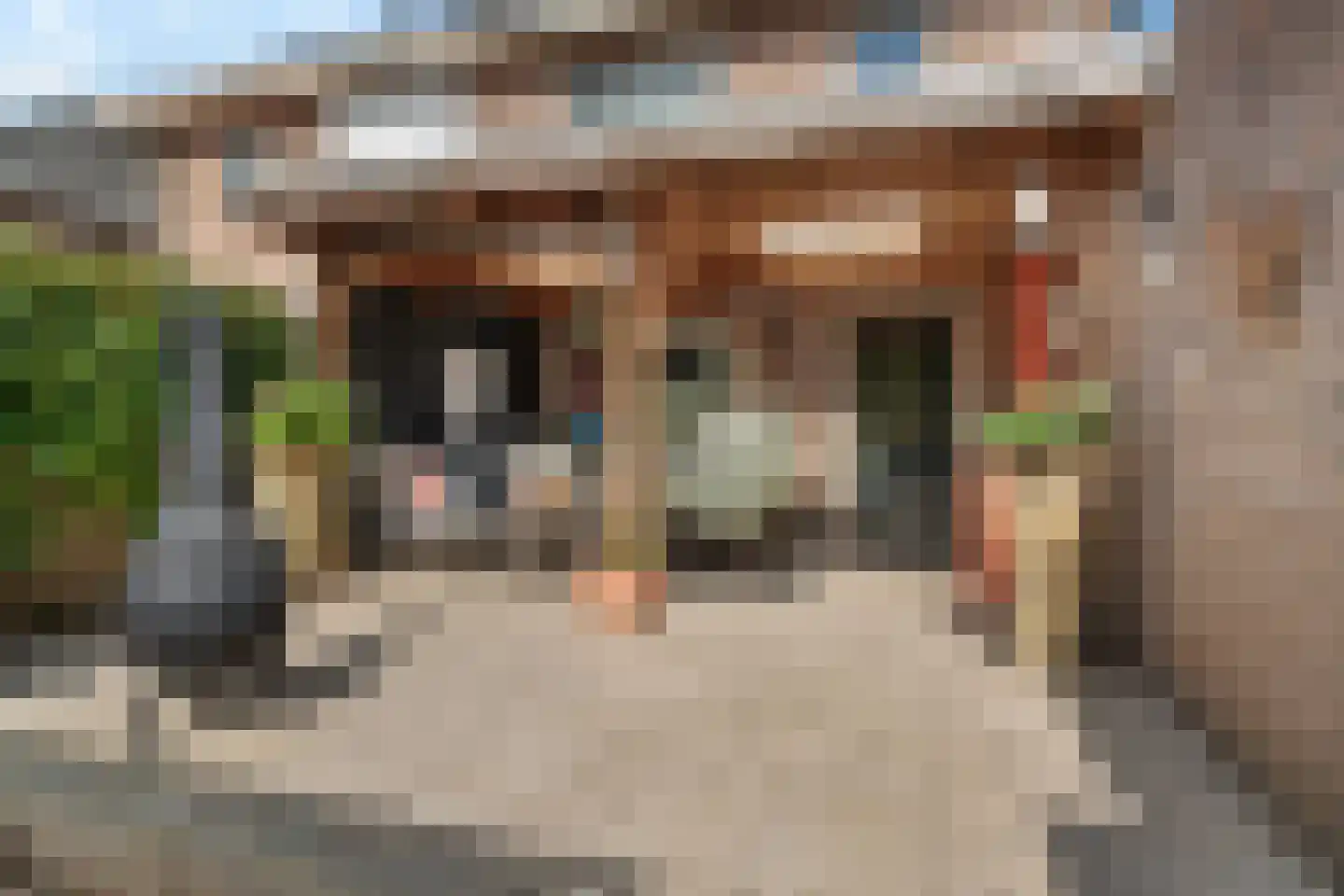 Ganzerik 13 Swifterbant thumbnail 42