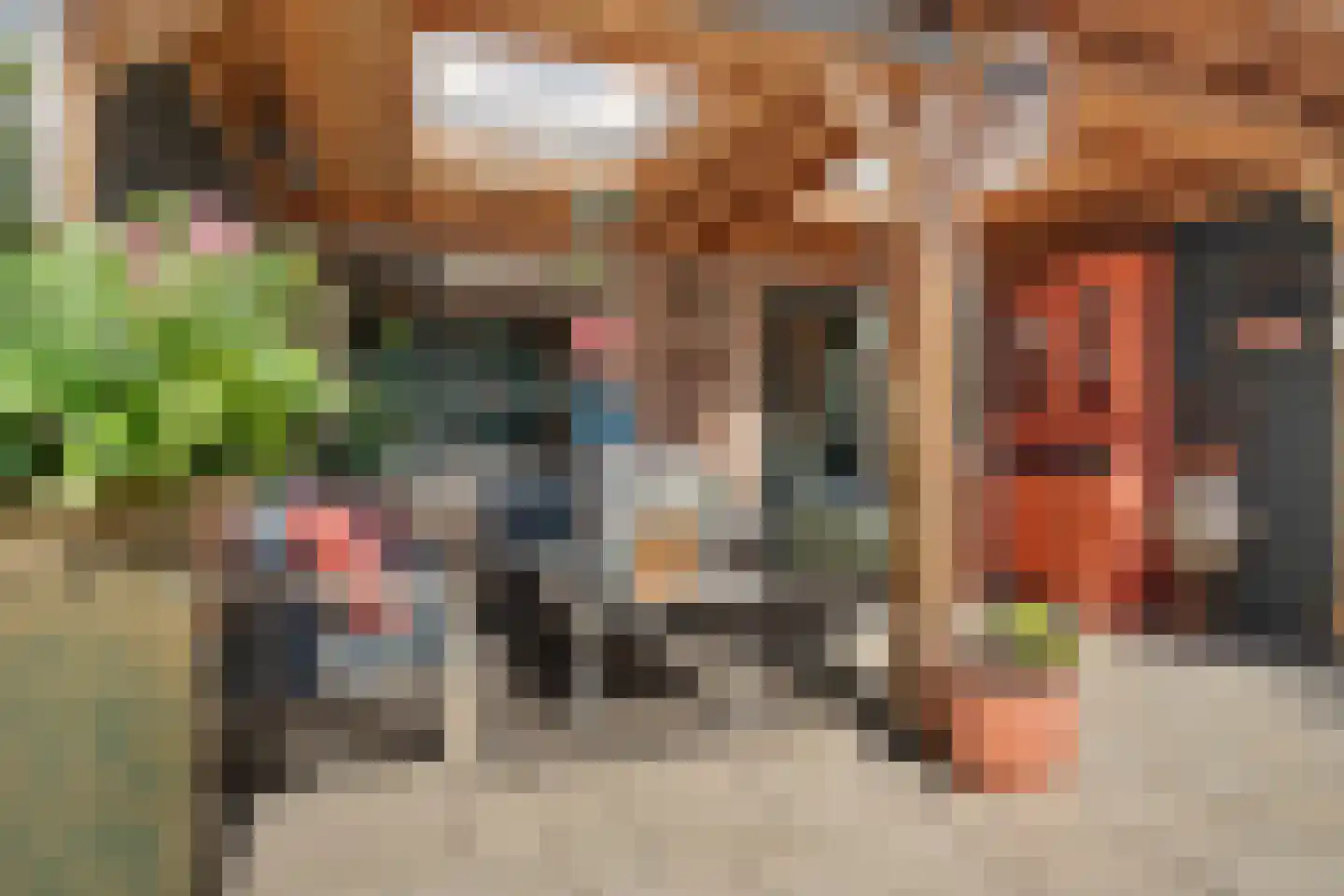 Ganzerik 13 Swifterbant thumbnail 43