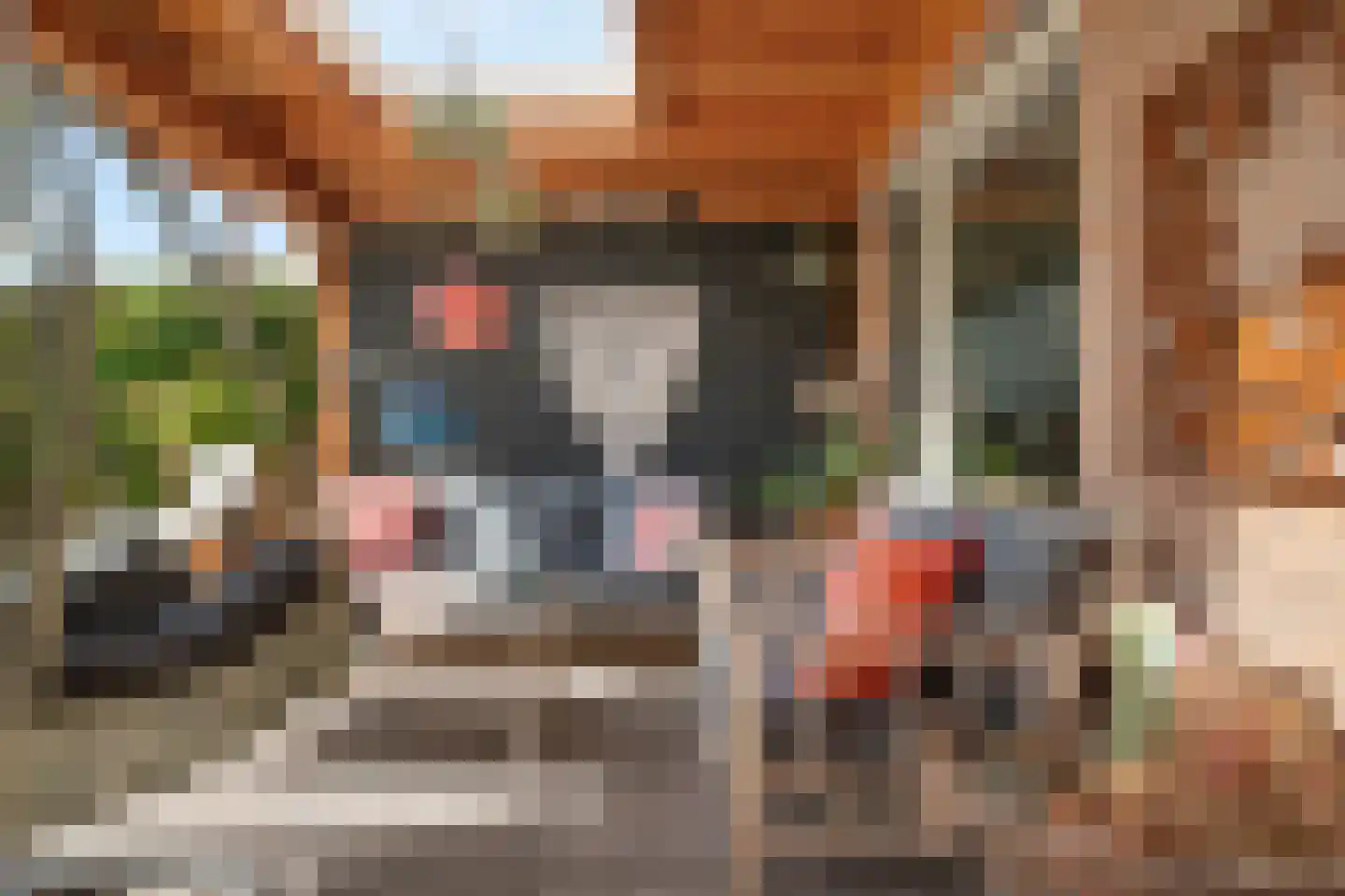 Ganzerik 13 Swifterbant thumbnail 44