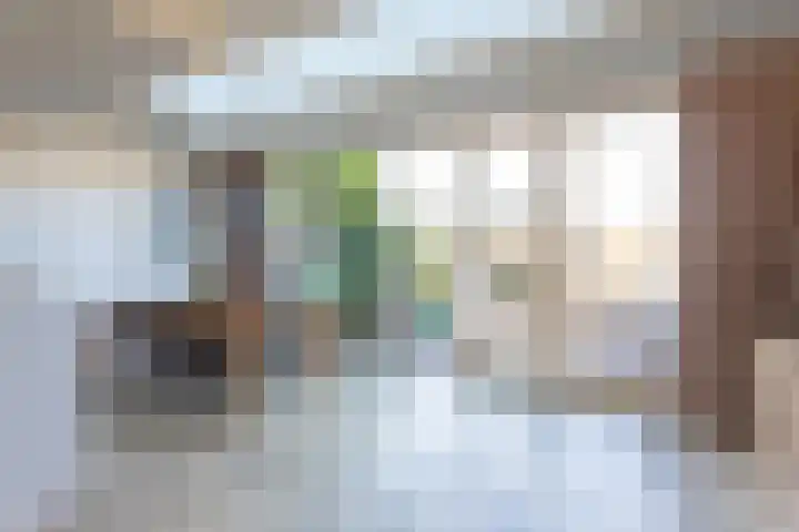 Ganzerik 16 Castricum thumbnail 10