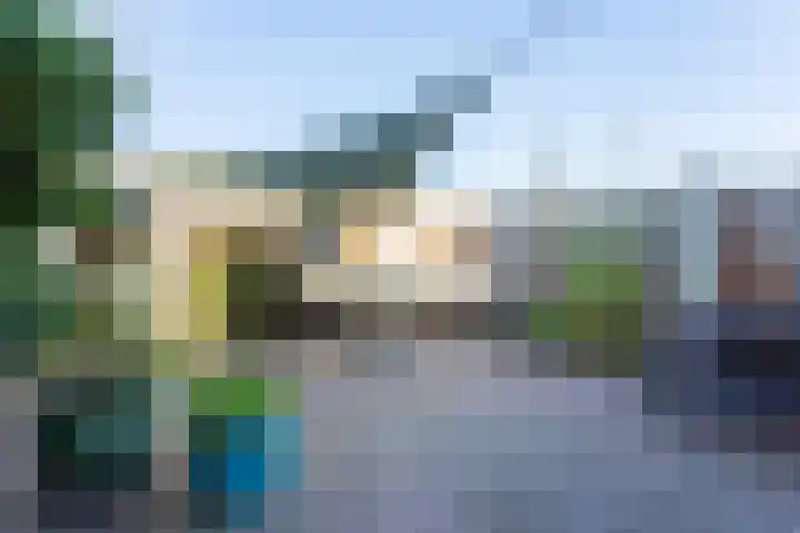 Ganzerik 16 Castricum thumbnail 13