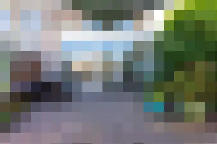 Ganzerik 16 Castricum thumbnail 15