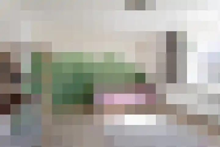 Ganzerik 16 Castricum thumbnail 22