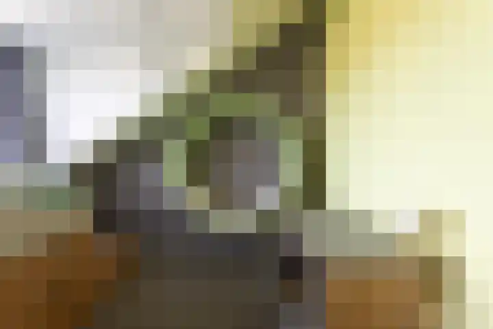Ganzerik 16 Castricum thumbnail 31