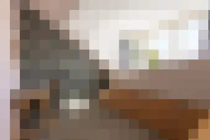 Ganzerik 16 Castricum thumbnail 32